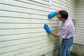 Best Vinyl Siding Installation  in Valdosta, GA